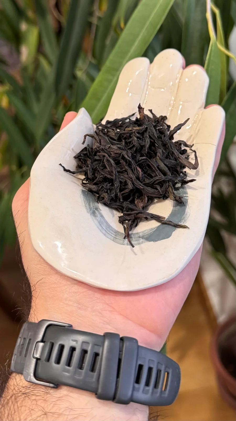 Da Hong Pao — Light Roast
