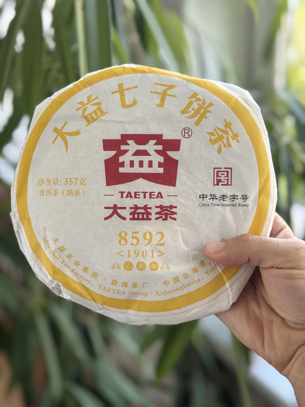 Dayi 8592 Shu Pu-erh