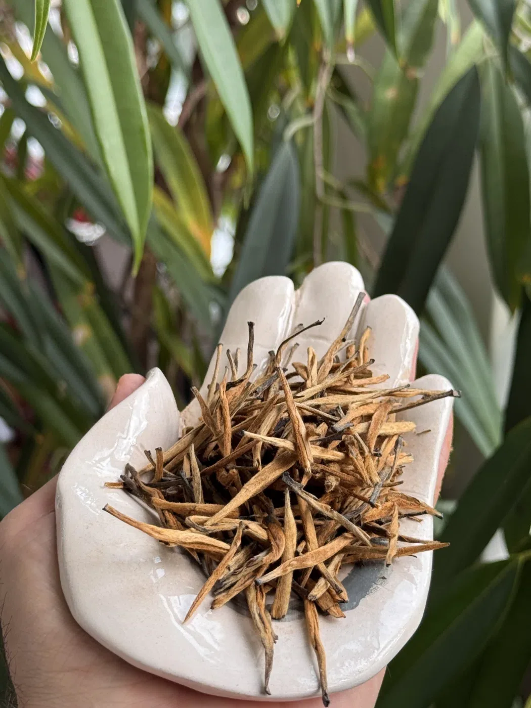 Dian Hong Needles