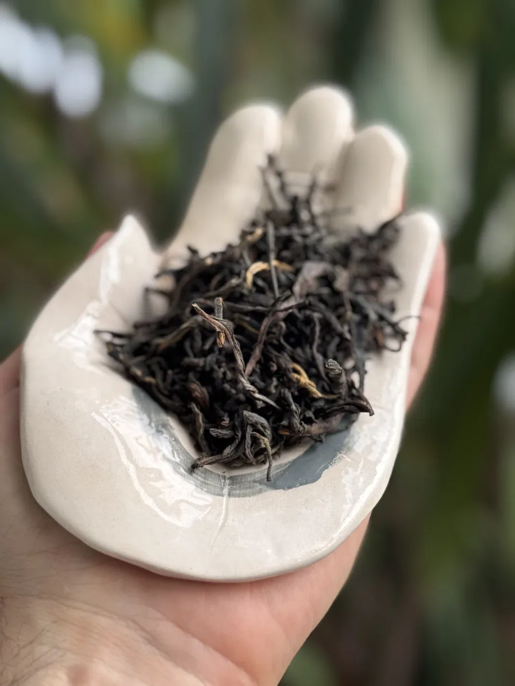 Dian Hong Tobacco