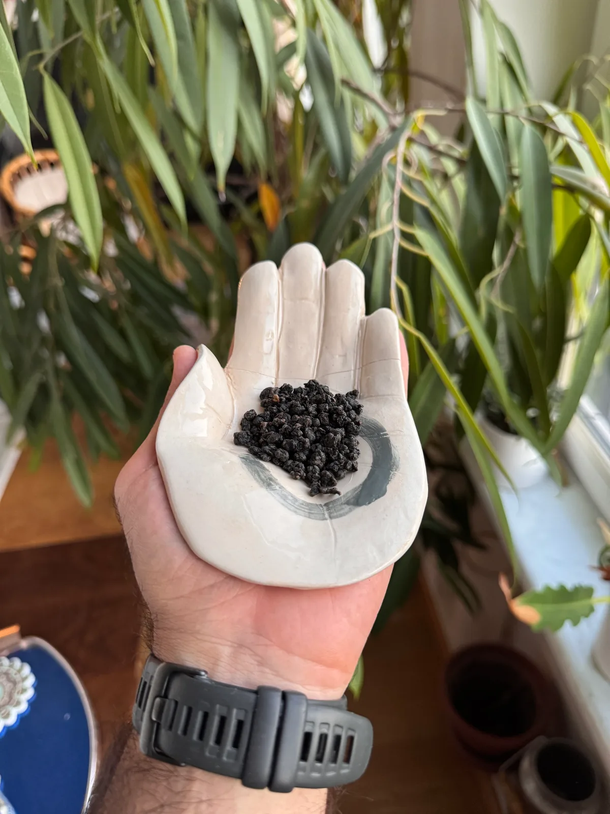 GABA Oolong "Graphite"