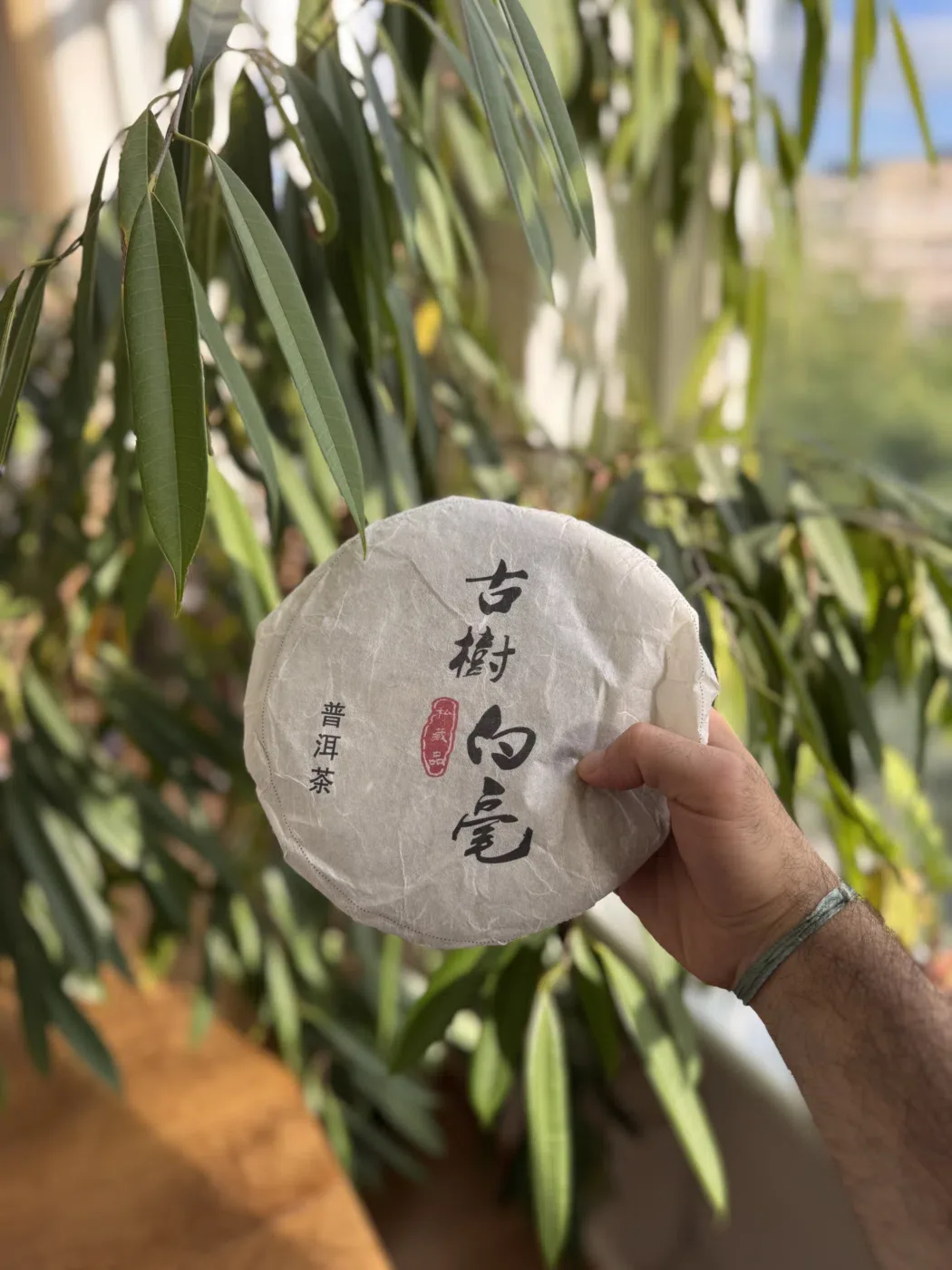 Gu Shu Bai Hao Cake 2024 — Yunnan
