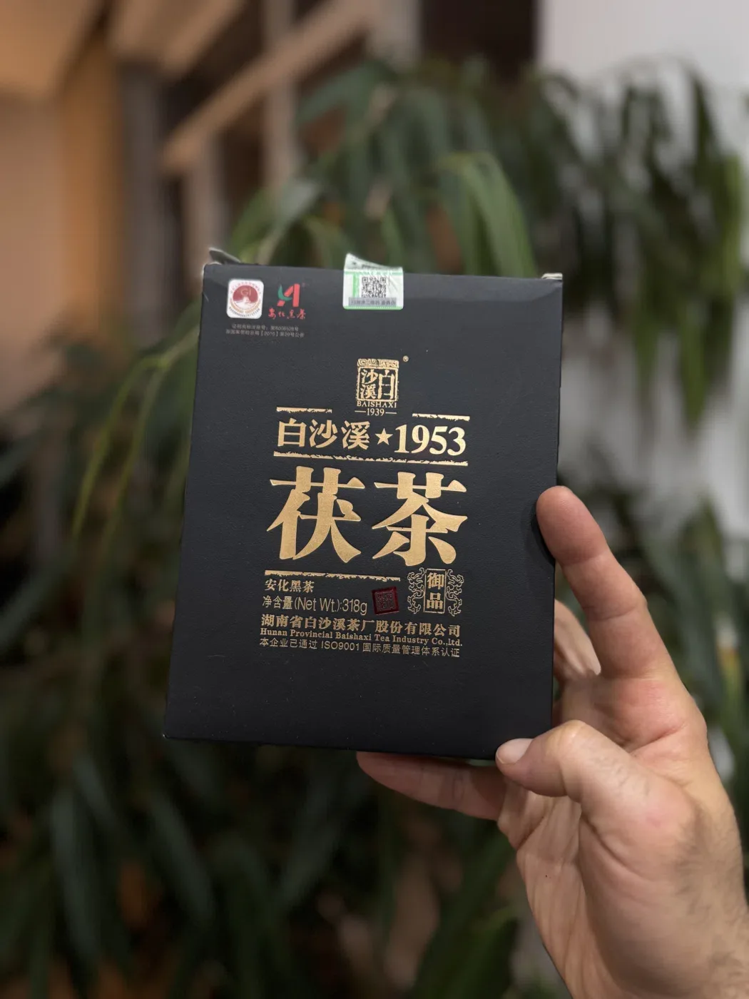 Bai Sha Si 1953 Hei Cha