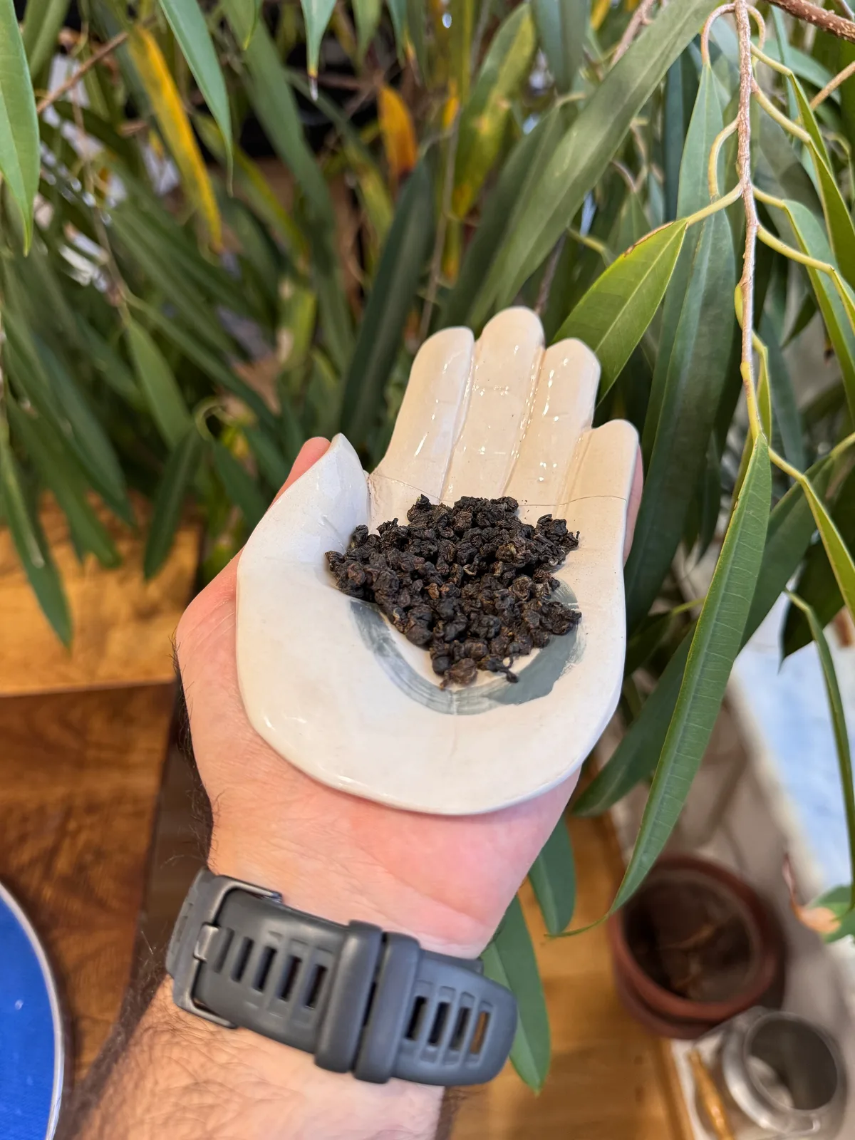 Hematite GABA Oolong