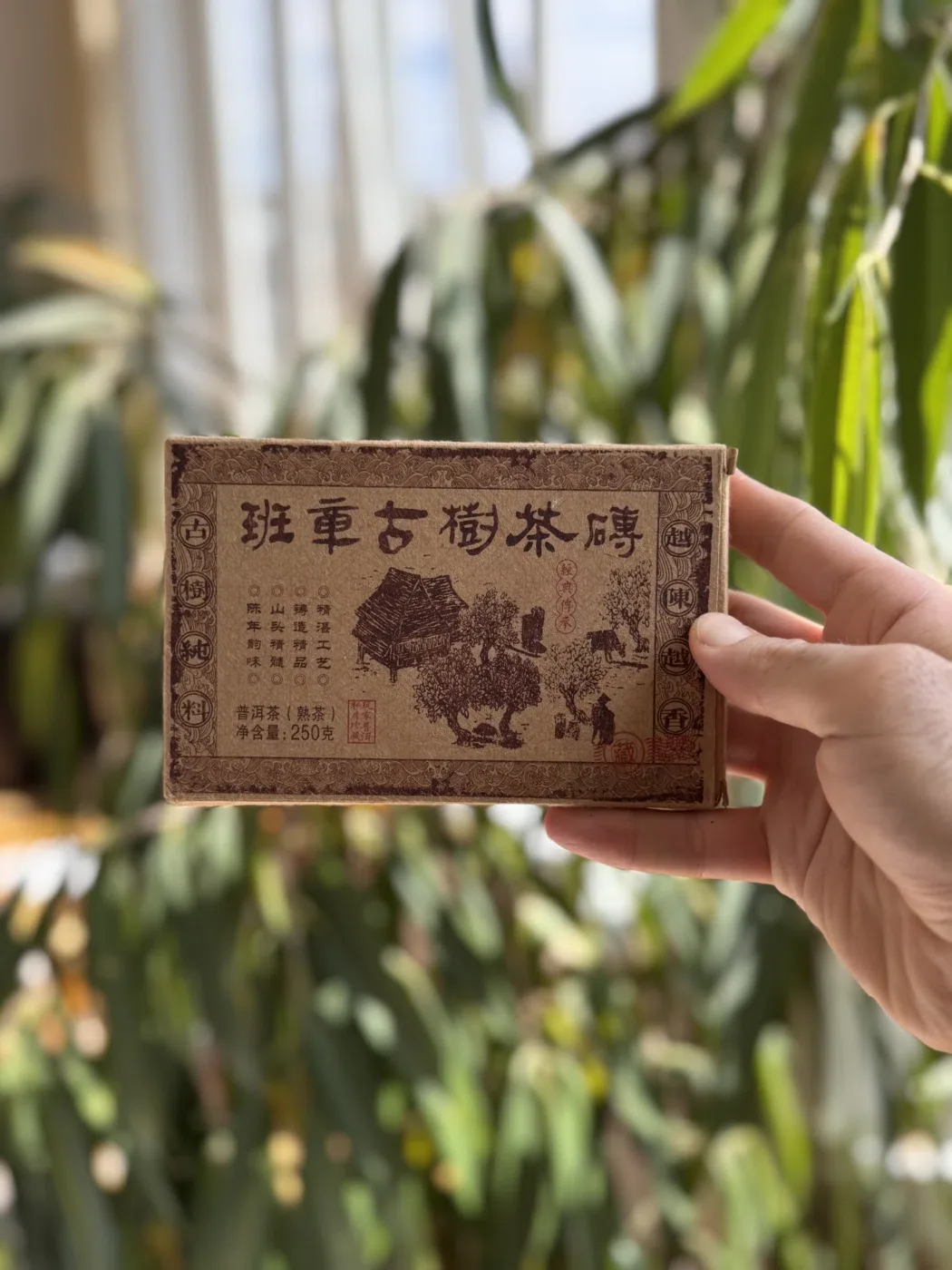 Lao Cha Tou Ban Zhang Gu Shu