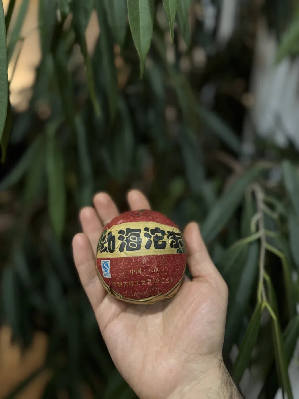 Shu Pu-erh "Tuocha" (Gui)