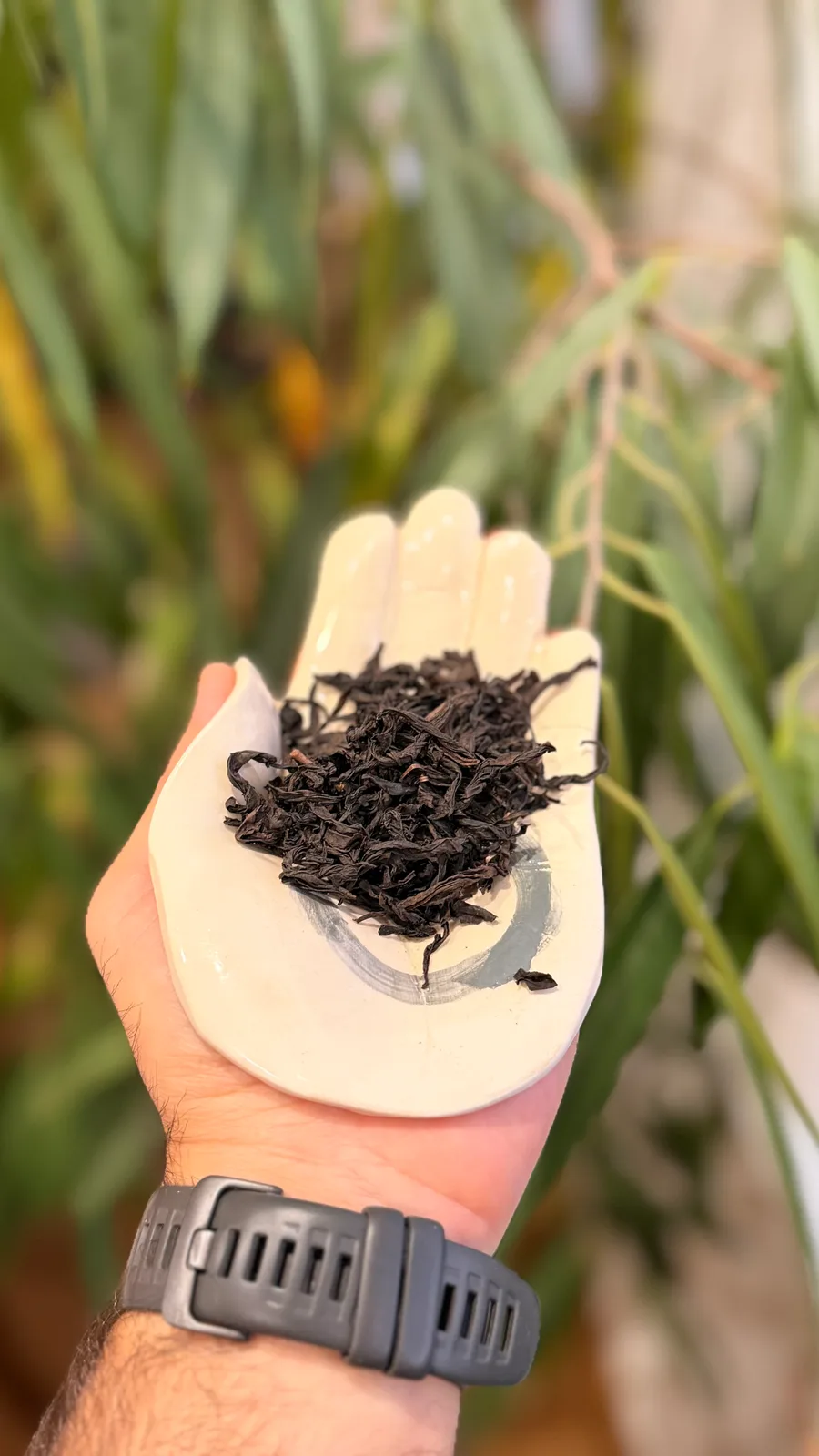 Shui Xian — Medium Roast