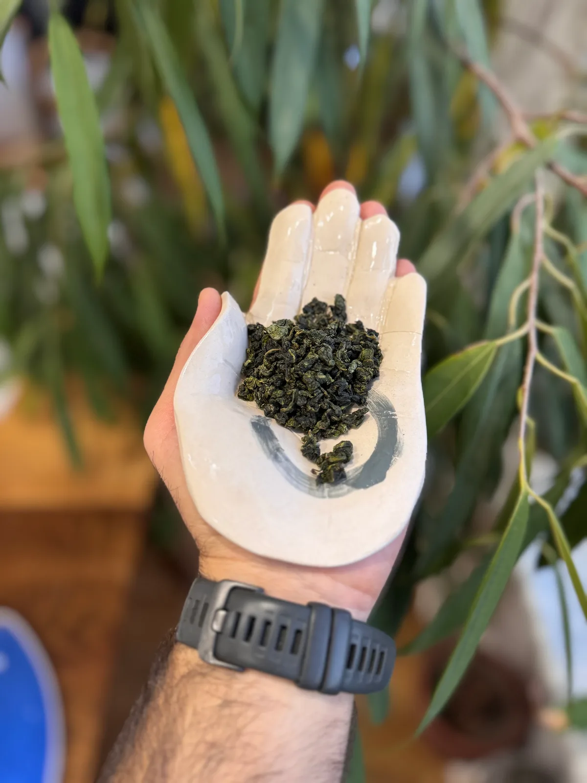 Tie Guan Yin "Xiao Qing"